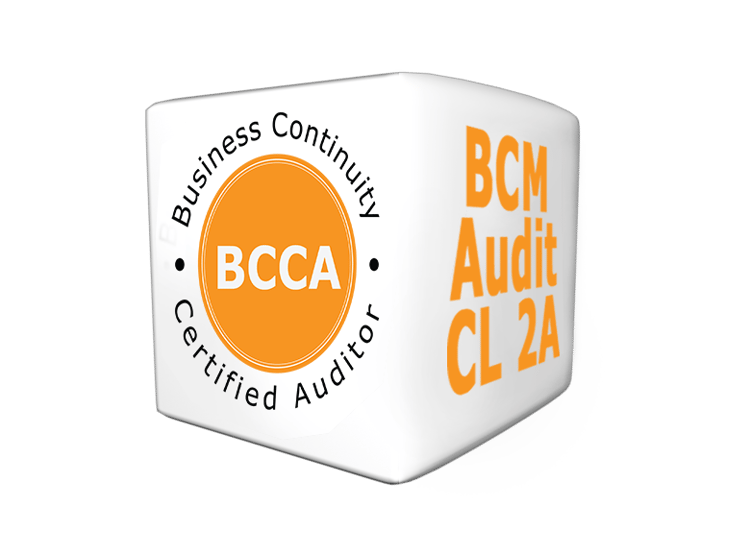 Getting Ready for Your BCM Audit Course and Certification Examination